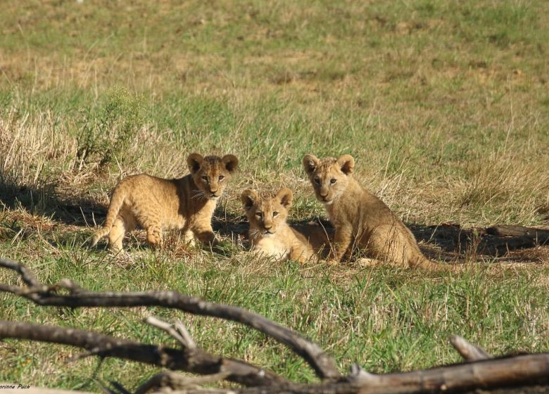 Zoo de la Boissière-du-Doré