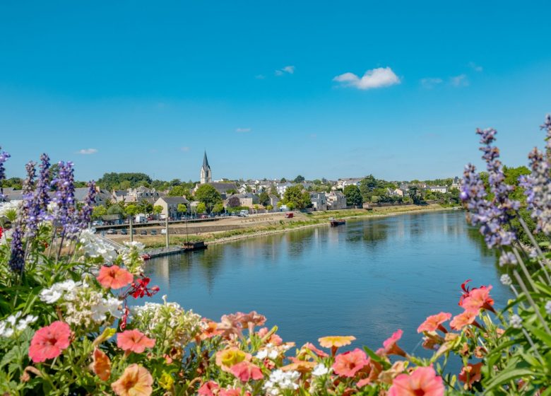 Route des vins – Loire sauvage et corniche angevine