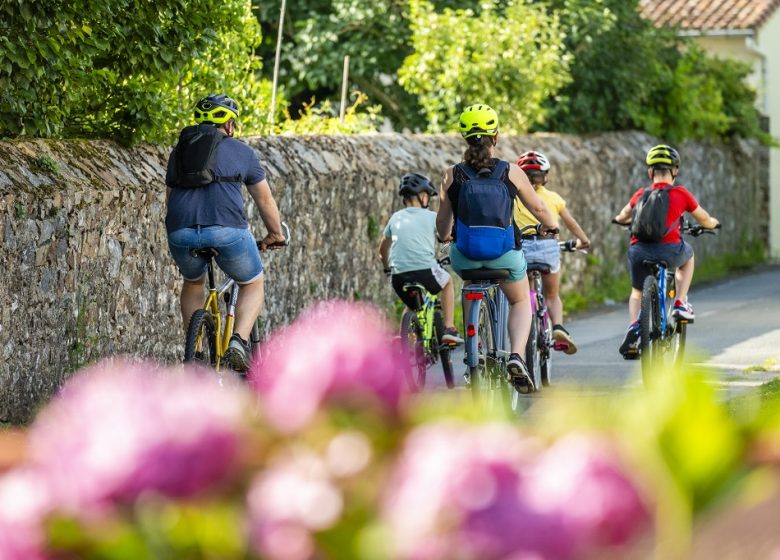 La Loire à Vélo, de Champotceaux à Liré “Entre boire et histoire”