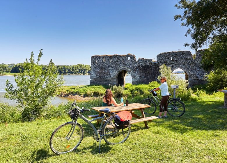 Location de vélos en bord de Loire – L.A. Kayak