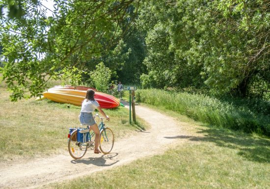 La Loire à Vélo, de Champtoceaux à Liré “Entre boire et histoire”
