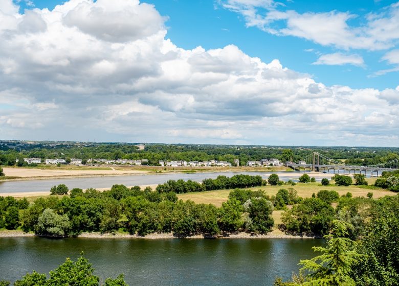 La Loire à Vélo, de Saint-Florent-le-Vieil à Champtoceaux