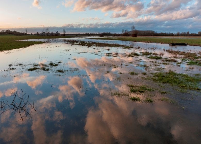 MONTJEAN SUR LOIRE