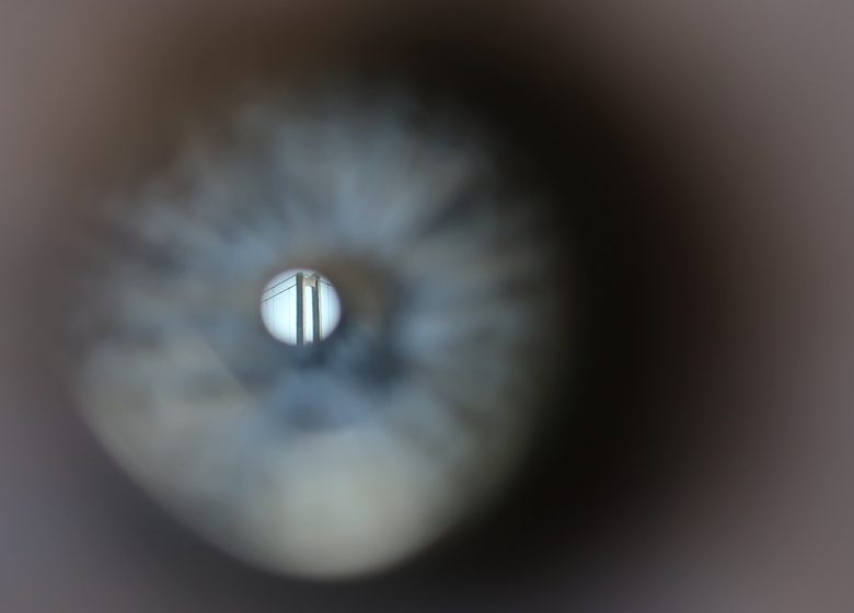Occulus in Natura