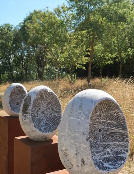Occulus in Natura