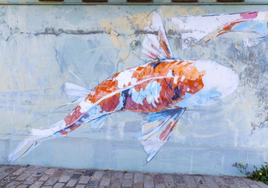 Les carpes du pont de Montjean-sur-Loire