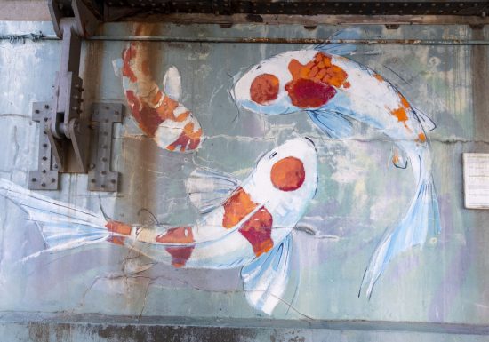 Les carpes du pont de Montjean-sur-Loire