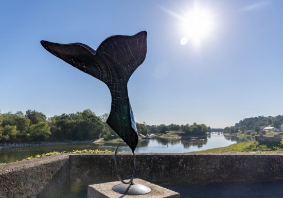 Élémentaire mon cher Watson !