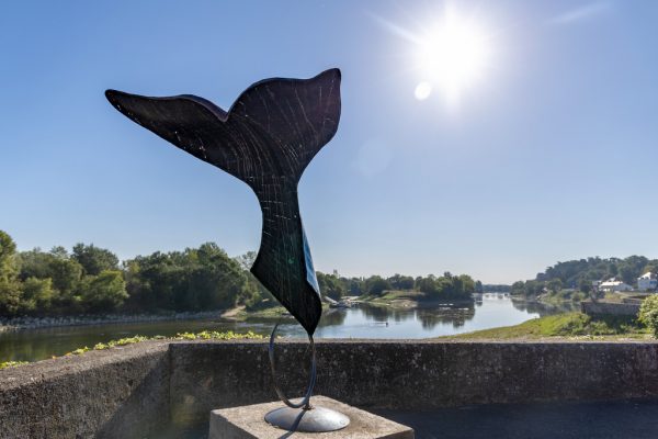 Elémentaire mon cher Watson