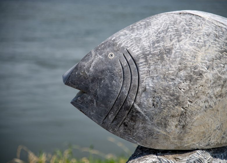 Poisson Janus
