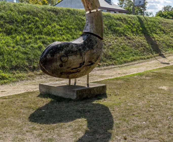 Poisson de Loire