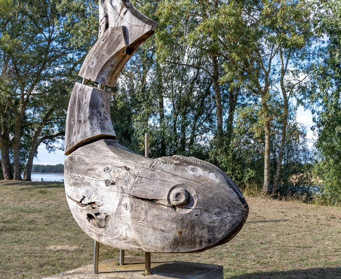 Poisson de Loire