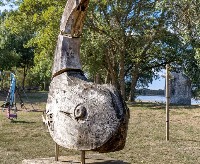 Poisson de Loire