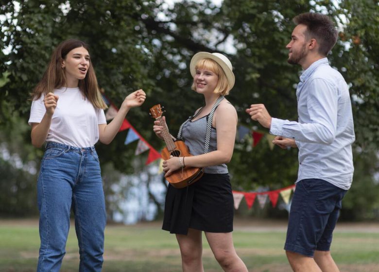 Meeple Mi’zic Festival