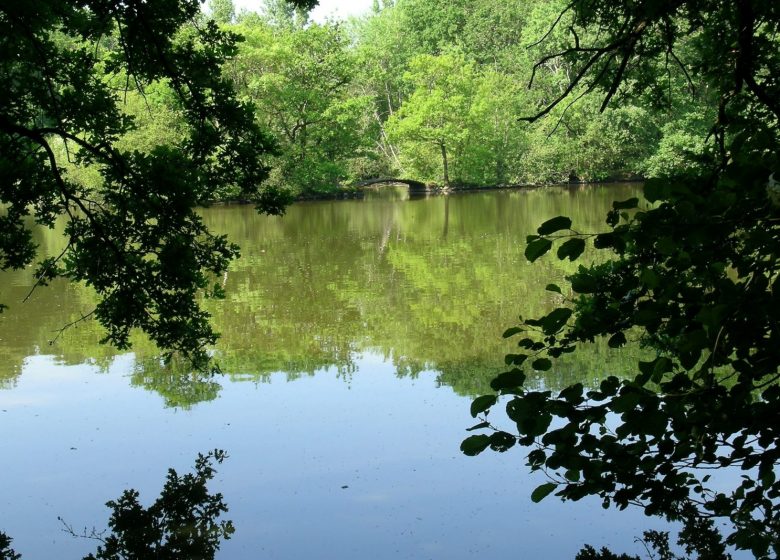 Parc du château du Martreil