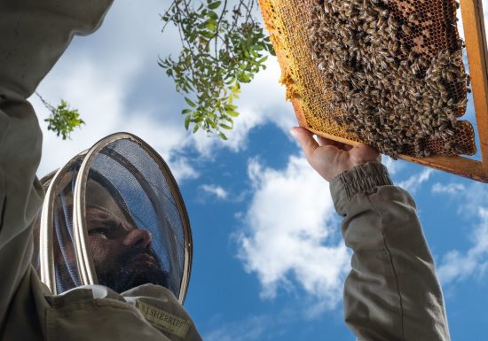 Miellerie Les 3 Vallées