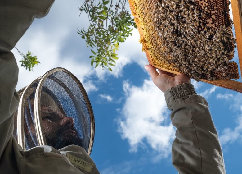 Miellerie Les 3 Vallées