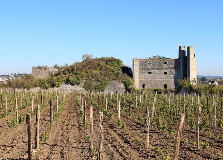 Montjean-sur-Loire