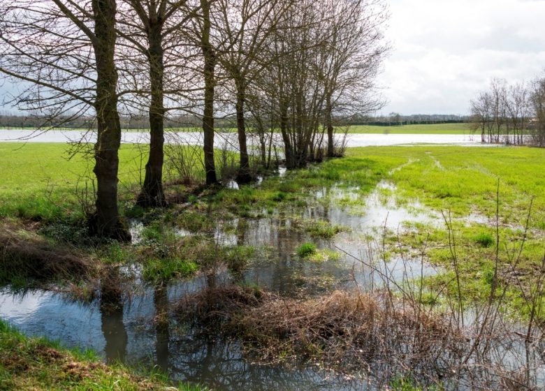 Montjean-sur-Loire