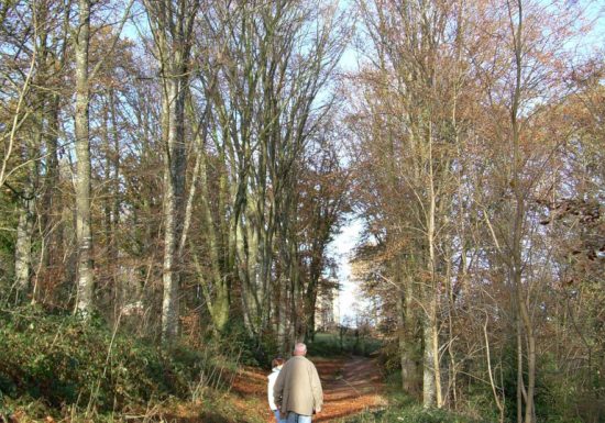 Randonnée “L’abbaye de Bellefontaine et le chemin des canons”