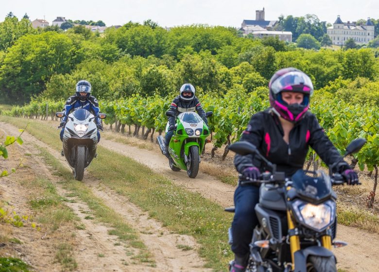 Route des vins “Panoramas de Loire”