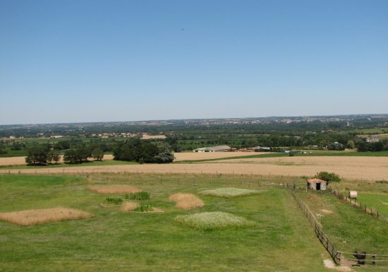 Aire de pique-nique aux abords du Moulin de l’Epinay