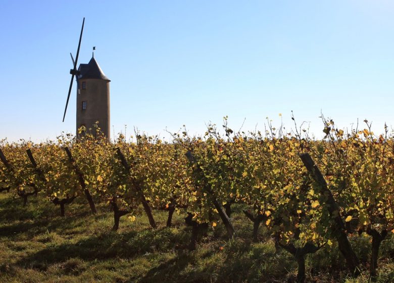 Montjean-sur-Loire