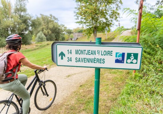 Boucle à vélo de Montjean-sur-Loire à Chalonnes sur Loire en passant sur l’île de Chalonnes