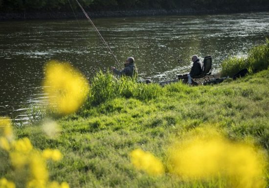 Étang de pêche de Coulvée