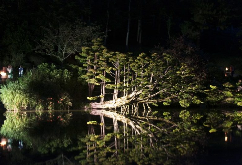 Promenades de nuit