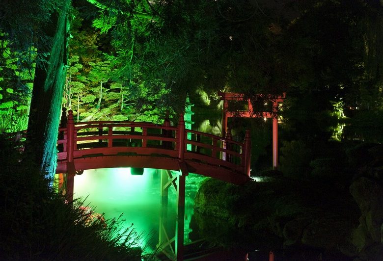 Promenades de nuit
