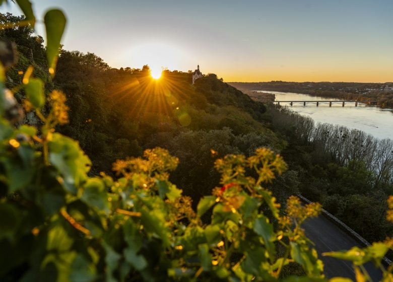 Panorama sur la Loire Le Champalud