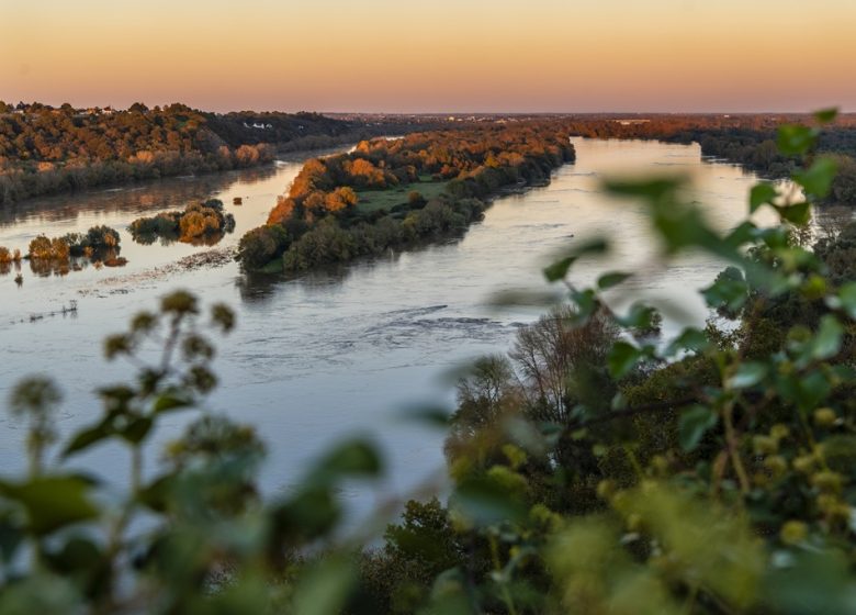 Panorama sur la Loire Le Champalud