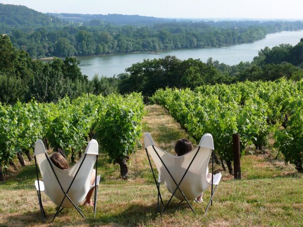 Panorama du Domaine des Genaudièrres