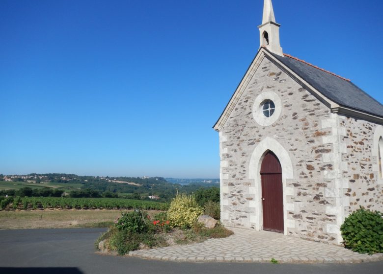 Panorama sur les Coteaux de Loire aux Galloires