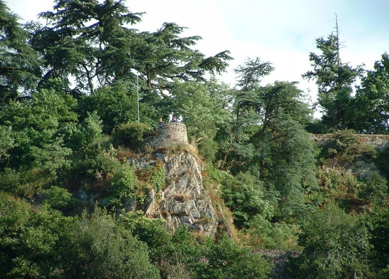 Champto trail d’Orée