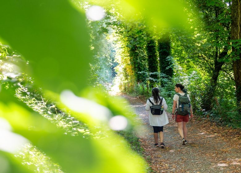 Parc du Château de Beaupréau