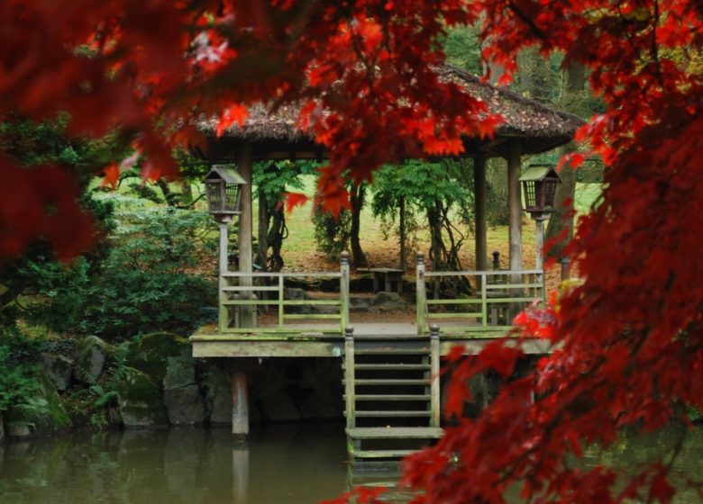 Parc Oriental de Maulévrier