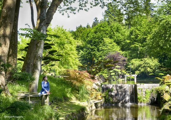 Parc Oriental de Maulévrier