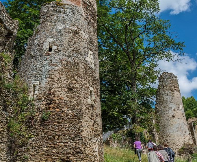 Ruines du Manoir de la Turmelière