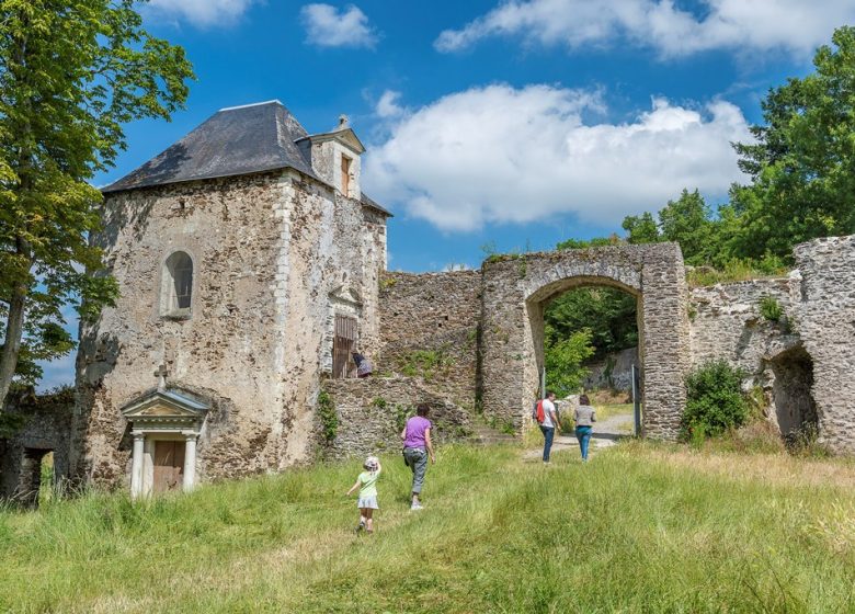 Ruines du Manoir de la Turmelière