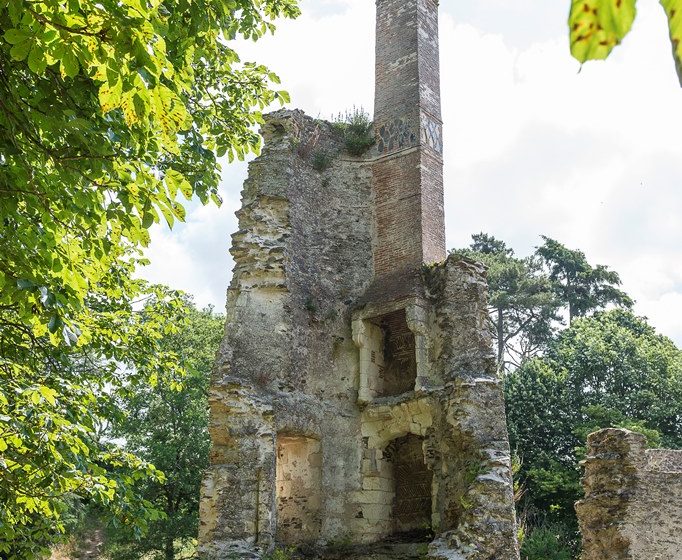 Ruines du Manoir de la Turmelière