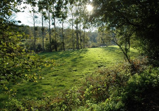 Randonnée “Bornéo”