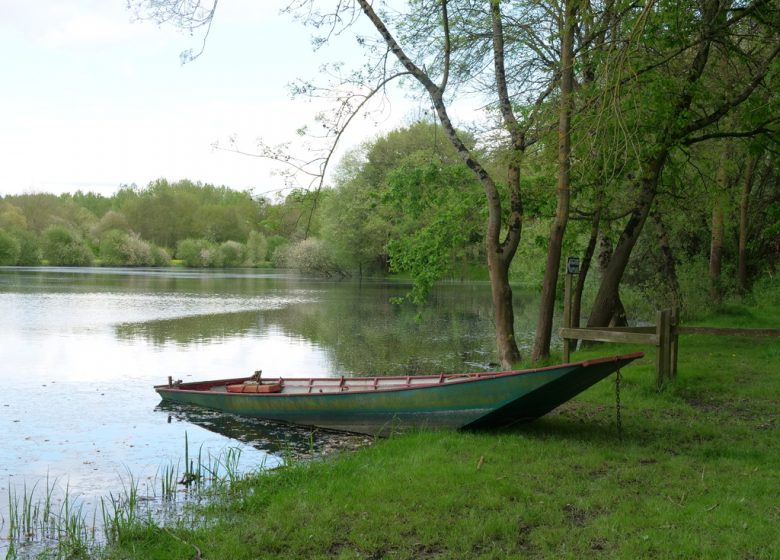 Pêche aux Boires de Drain