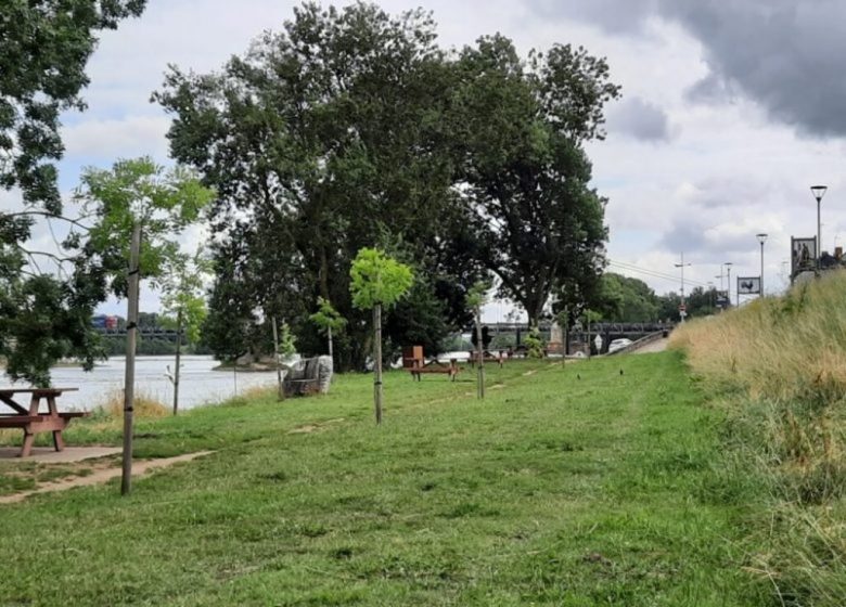 Parcours pêche de Montjean sur Loire
