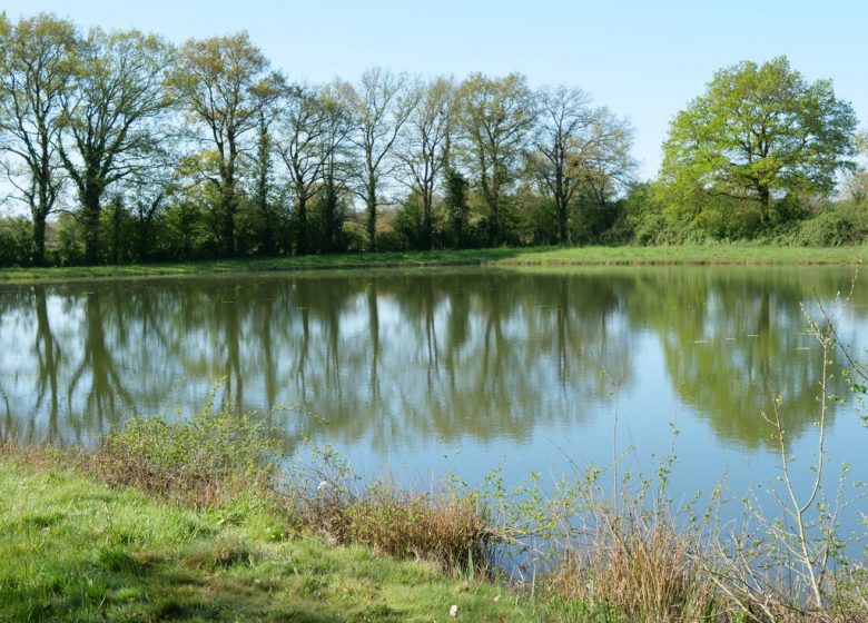Étang de pêche des Petites Landes