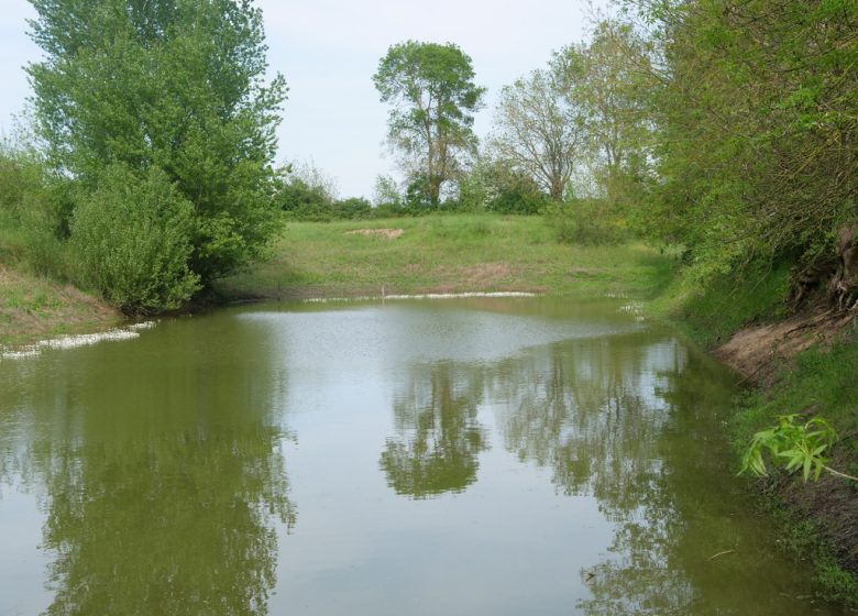 Pêche à la Boire du Seil