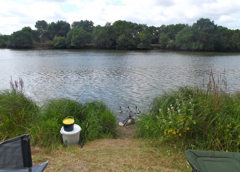 Pêche sur la Boire du Seil