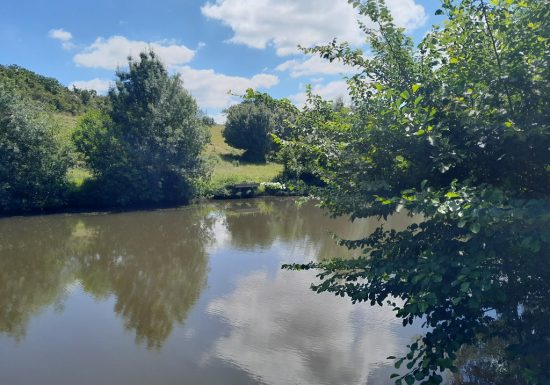 Parcours pêche de Coulaines
