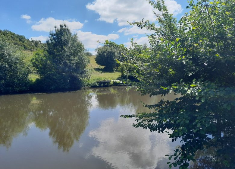 Parcours pêche de Coulaines